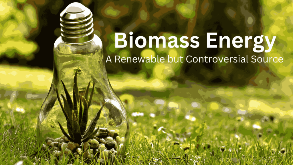 Biomass Energy: A Renewable but Controversial Source